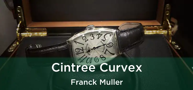 Cintree Curvex Franck Muller