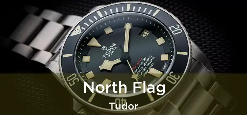  North Flag Tudor